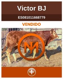 victor