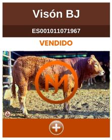 vison