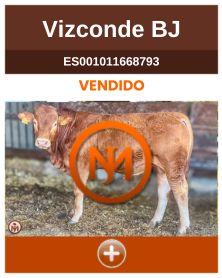 vizconde