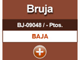 bruja
