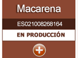 macarena